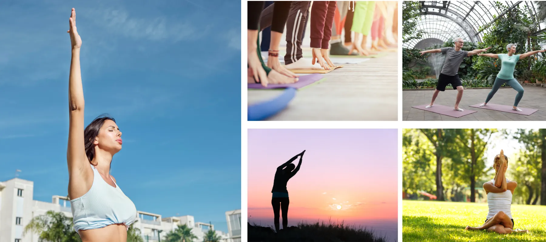 Yoga Tours in India, Yoga Retreat in India, Yoga Teacher Training in India, Yoga Teacher Training Courses in India