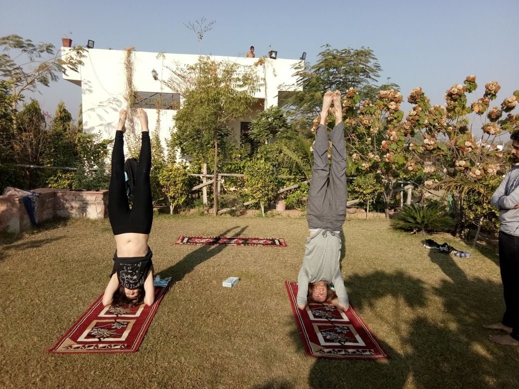 Yoga Tours in India, Yoga Retreat in India, Yoga Teacher Training in India, Yoga Teacher Training Courses in India