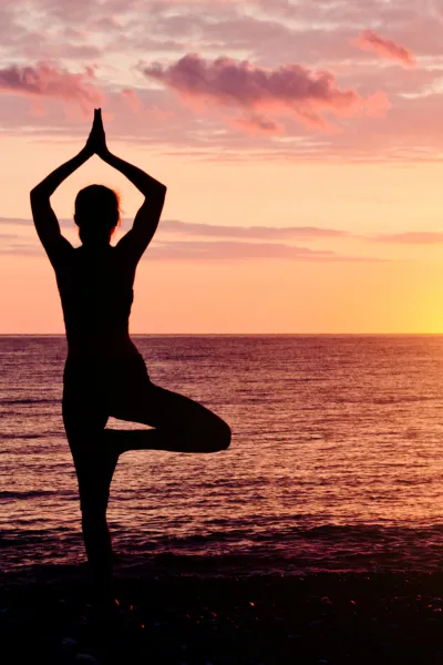 Yoga Tours in India, Yoga Retreat in India, Yoga Teacher Training in India, Yoga Teacher Training Courses in India