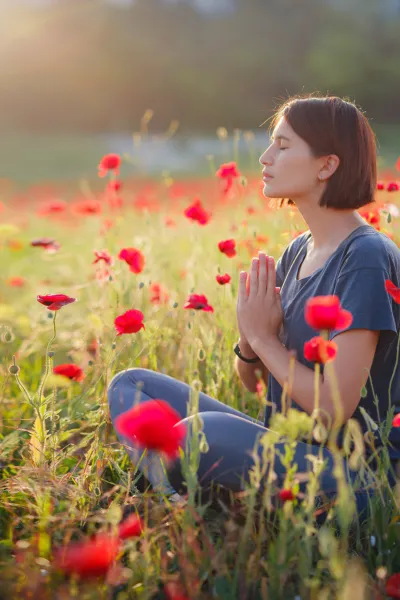 Yoga Tours in India, Yoga Retreat in India, Yoga Teacher Training in India, Yoga Teacher Training Courses in India