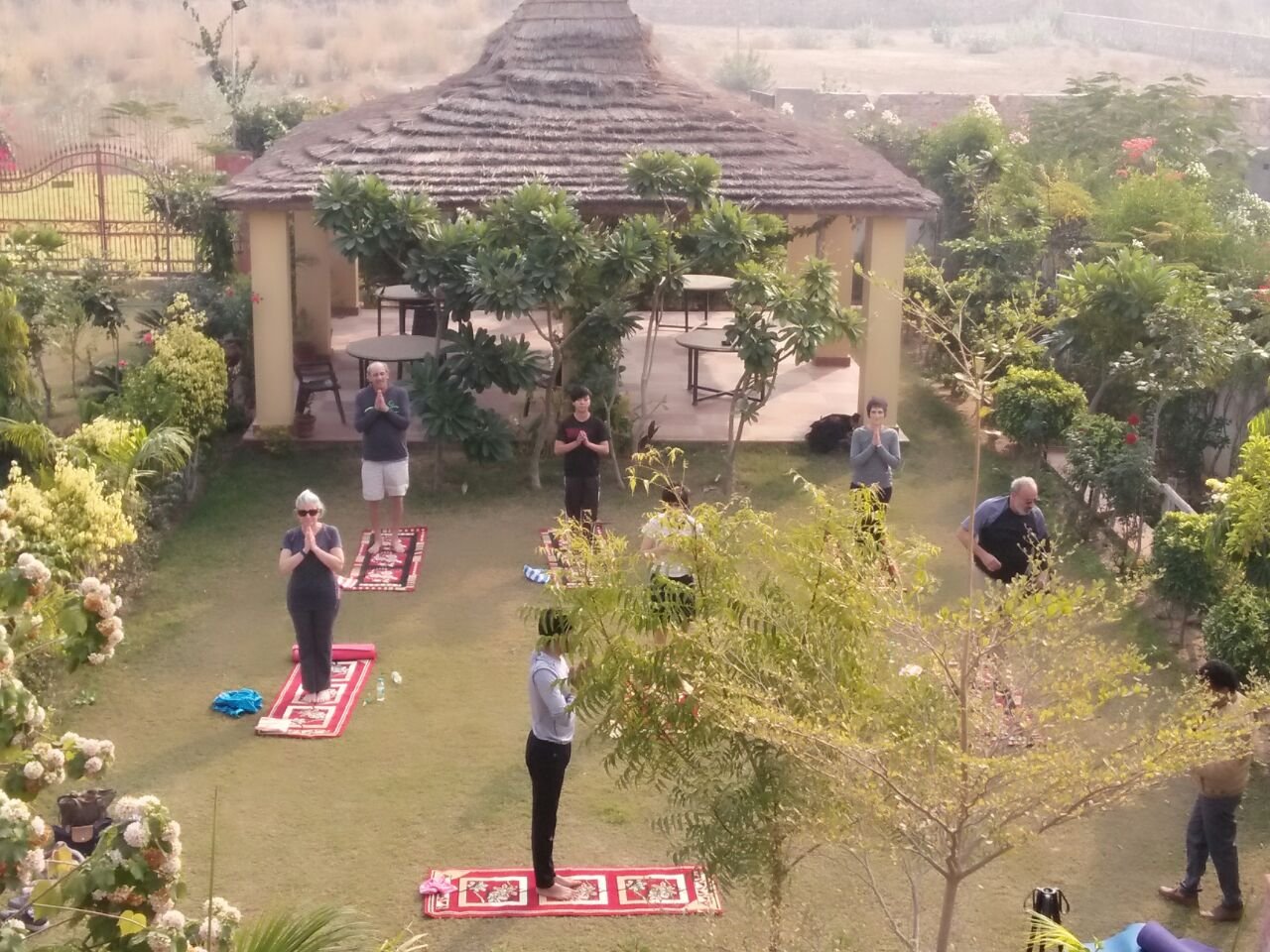 Yoga Tours in India, Yoga Retreat in India, Yoga Teacher Training in India, Yoga Teacher Training Courses in India