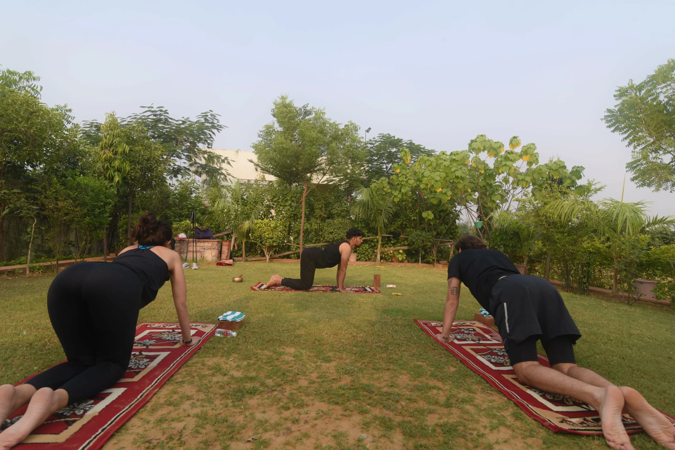 Yoga Tours in India, Yoga Retreat in India, Yoga Teacher Training in India, Yoga Teacher Training Courses in India