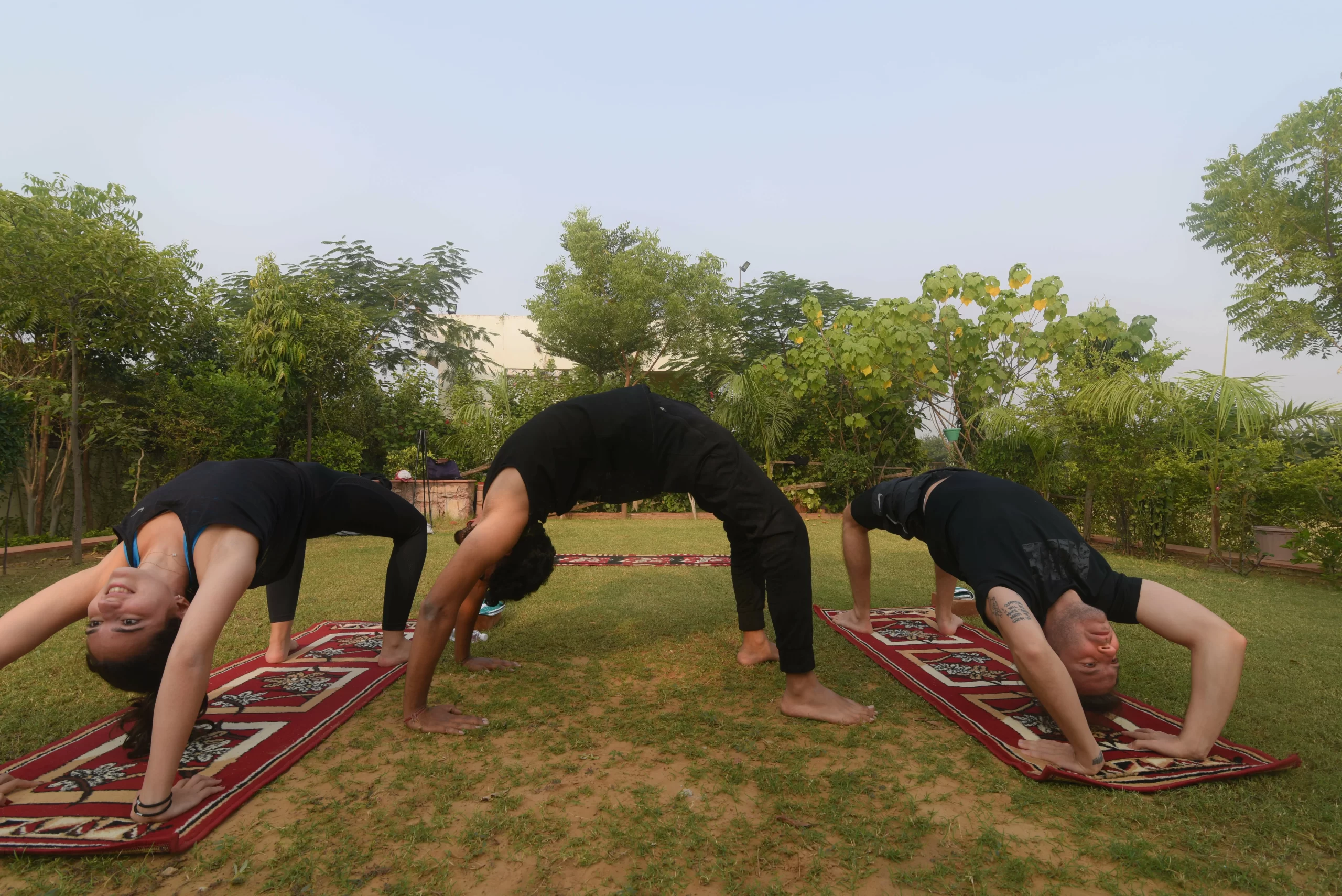 Yoga Tours in India, Yoga Retreat in India, Yoga Teacher Training in India, Yoga Teacher Training Courses in India