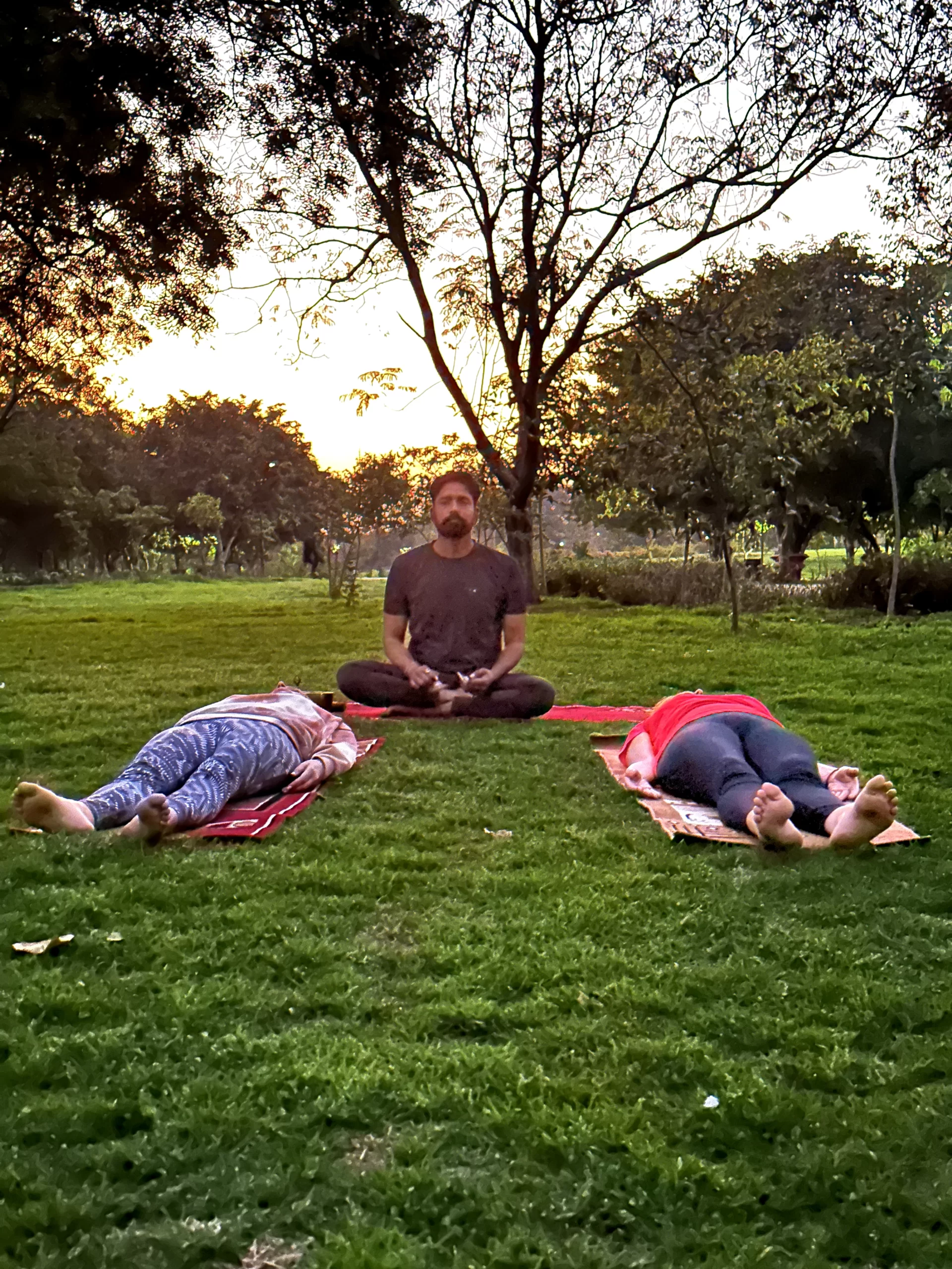 Yoga Tours in India, Yoga Retreat in India, Yoga Teacher Training in India, Yoga Teacher Training Courses in India