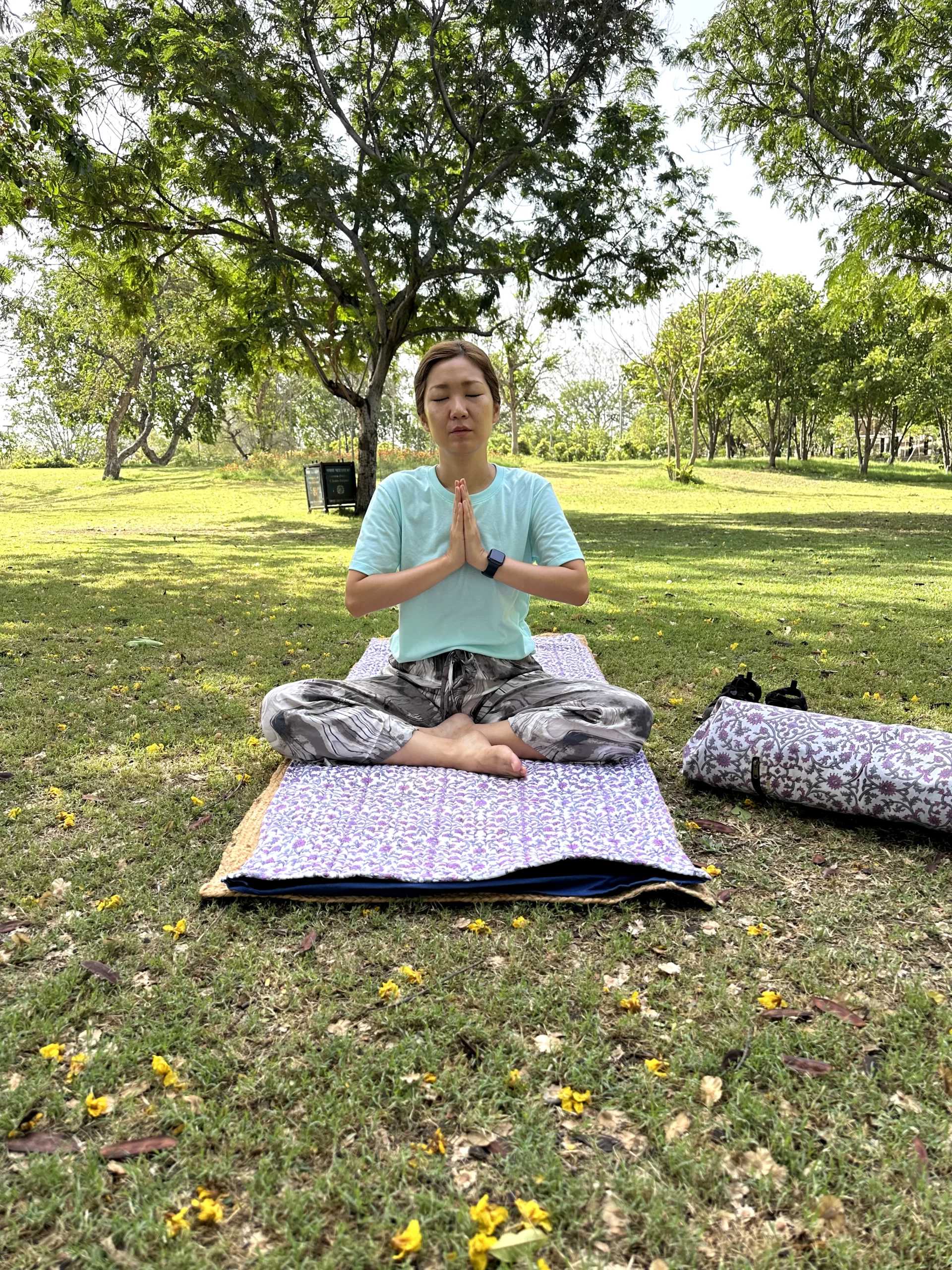 Yoga Tours in India, Yoga Retreat in India, Yoga Teacher Training in India, Yoga Teacher Training Courses in India