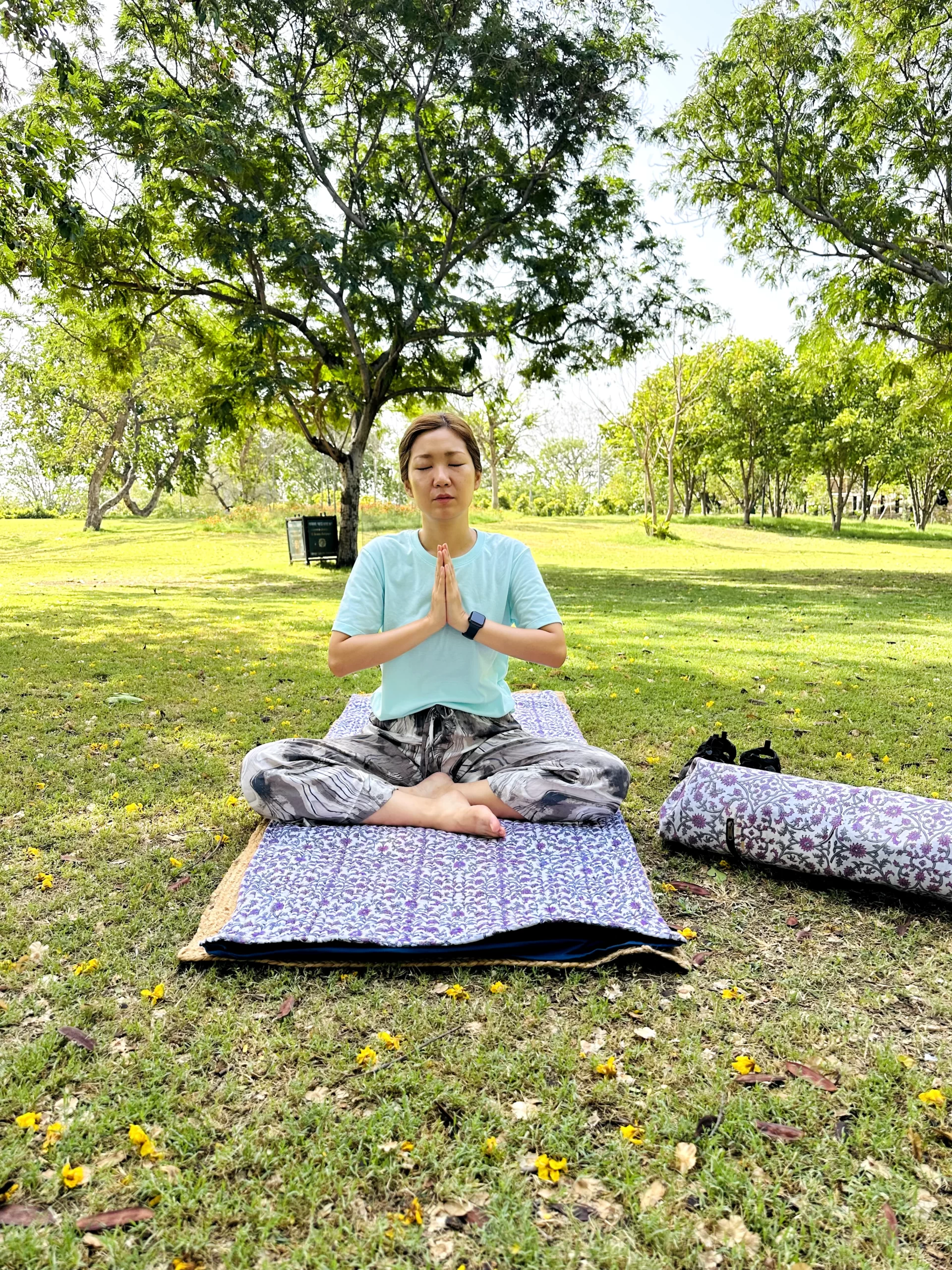 Yoga Tours in India, Yoga Retreat in India, Yoga Teacher Training in India, Yoga Teacher Training Courses in India