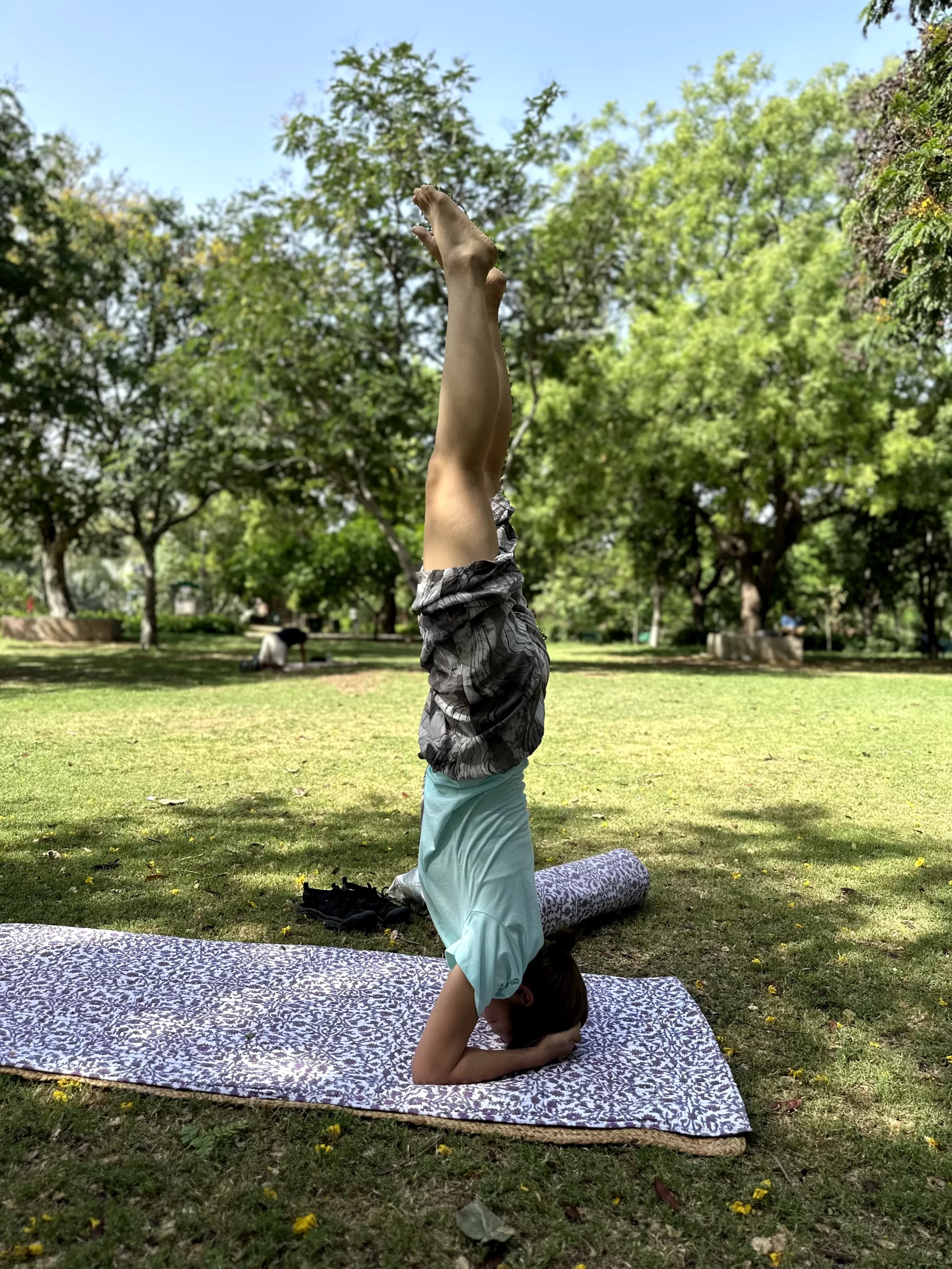 Yoga Tours in India, Yoga Retreat in India, Yoga Teacher Training in India, Yoga Teacher Training Courses in India