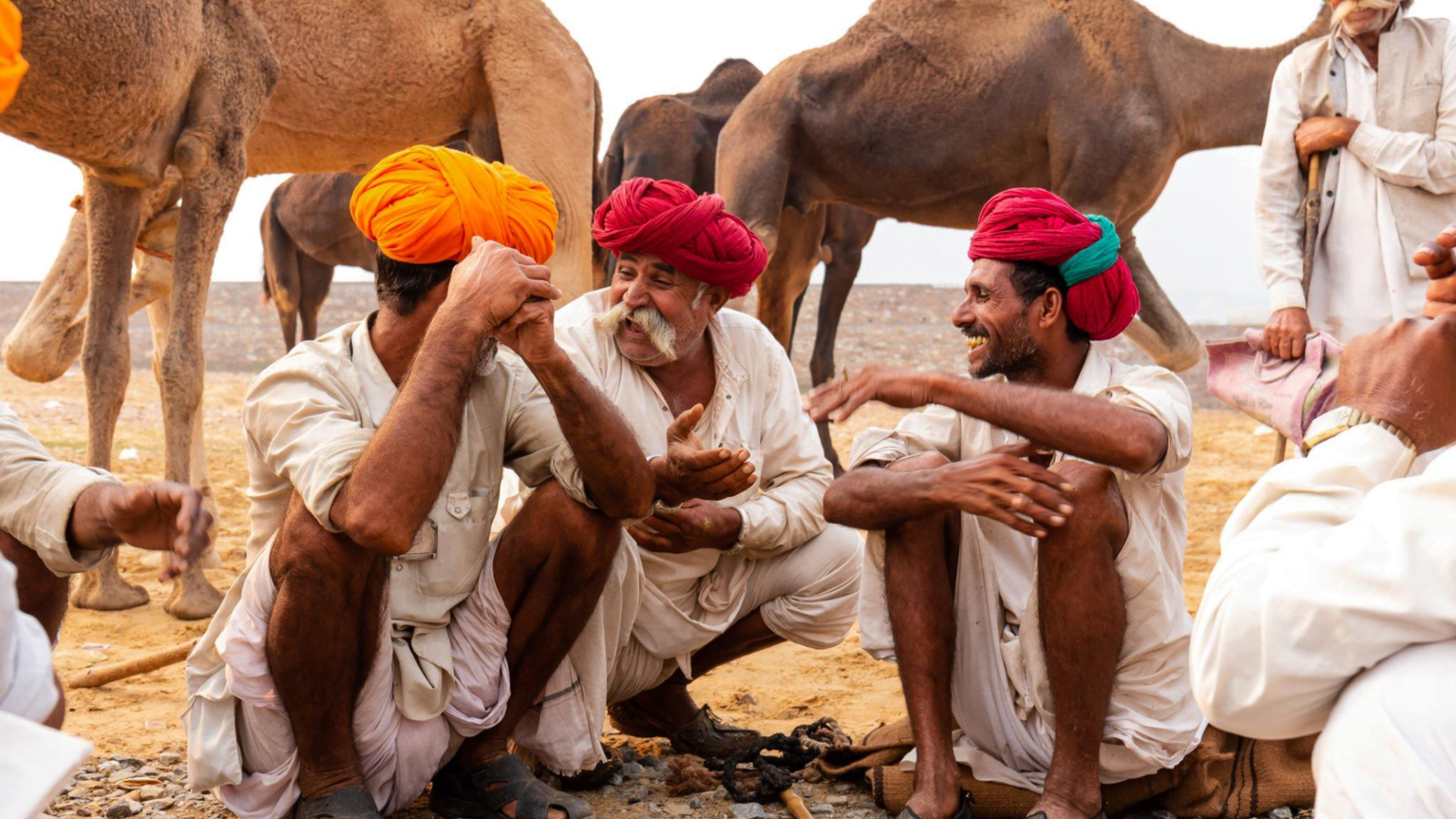 Pushkar Fair & the Golden Triangle with Yoga Retreat in India 2